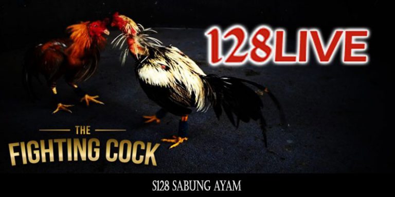 S128 Sabung Ayam JBO338